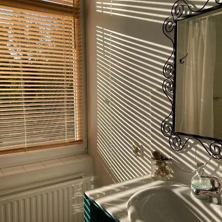 L'aire Des Oiseaux *