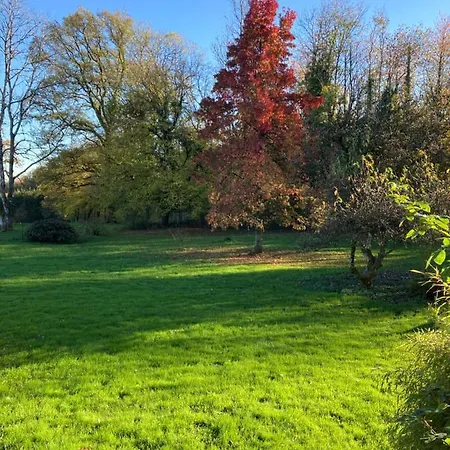 L'aire Des Oiseaux * Muno