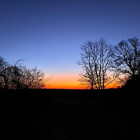 L'aire Des Oiseaux * Muno