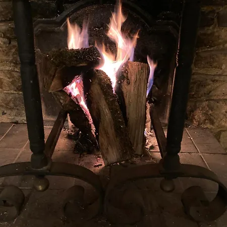 L'aire Des Oiseaux * Muno