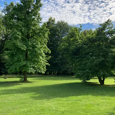 L'aire Des Oiseaux *