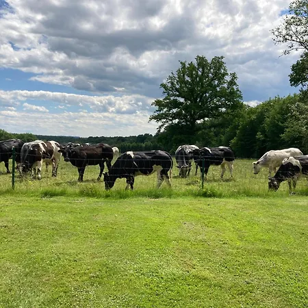 Feriehus L'aire Des Oiseaux Muno