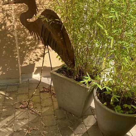 Feriehus L'aire Des Oiseaux *