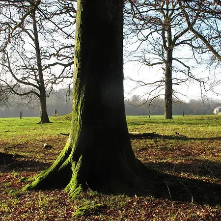 L'aire Des Oiseaux בית נופש