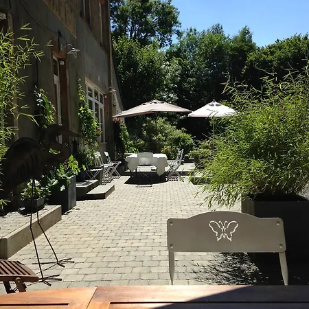 L'aire Des Oiseaux *