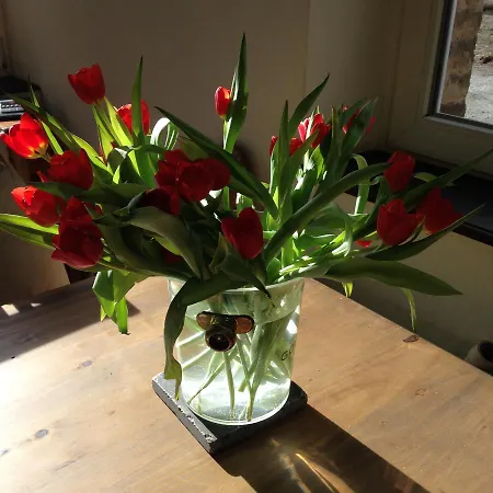 Prázdninový dům L'aire Des Oiseaux *